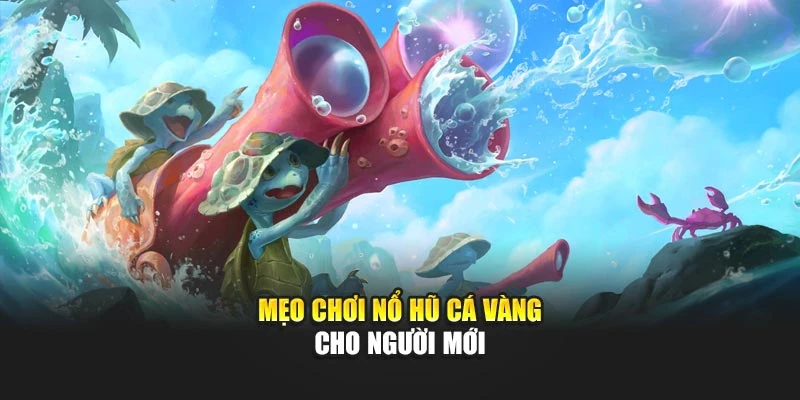 Mẹo chơi Nổ Hũ Cá Vàng cho người mới